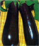 Seminte Vinete Long purple